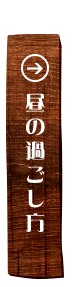 昼の過ごし方