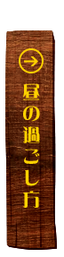 昼の過ごし方