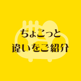 ちょこっと違いをご紹介